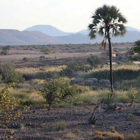 Palmwag Campsite Εξωτερικό φωτογραφία