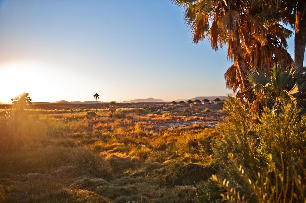 Palmwag Campsite Εξωτερικό φωτογραφία